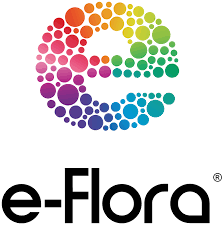 E Flora E Flora